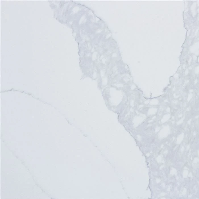 calacatta naples quartz countertop